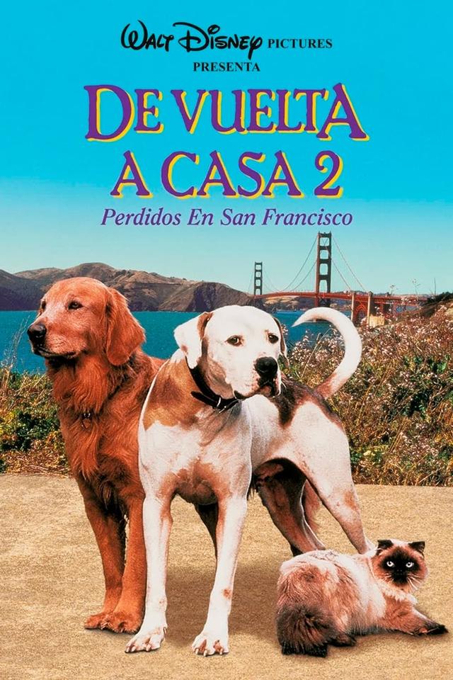 Volviendo a Casa 2: Perdidos en San Francisco