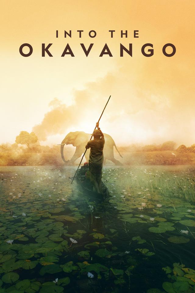 Okavango: El Alma Africana